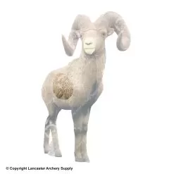 Rinehart Big Horn Sheep Insert
