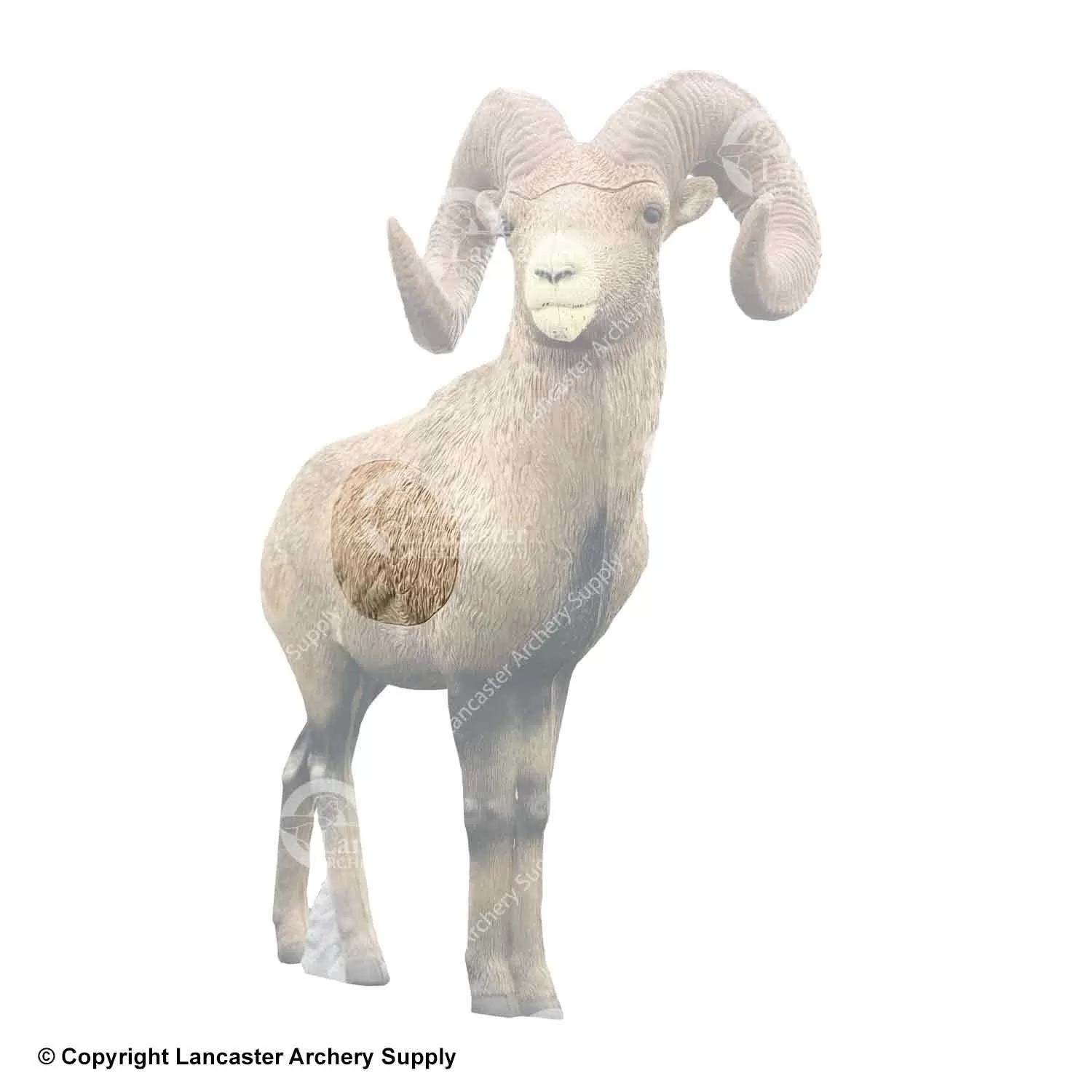 Rinehart Big Horn Sheep Insert