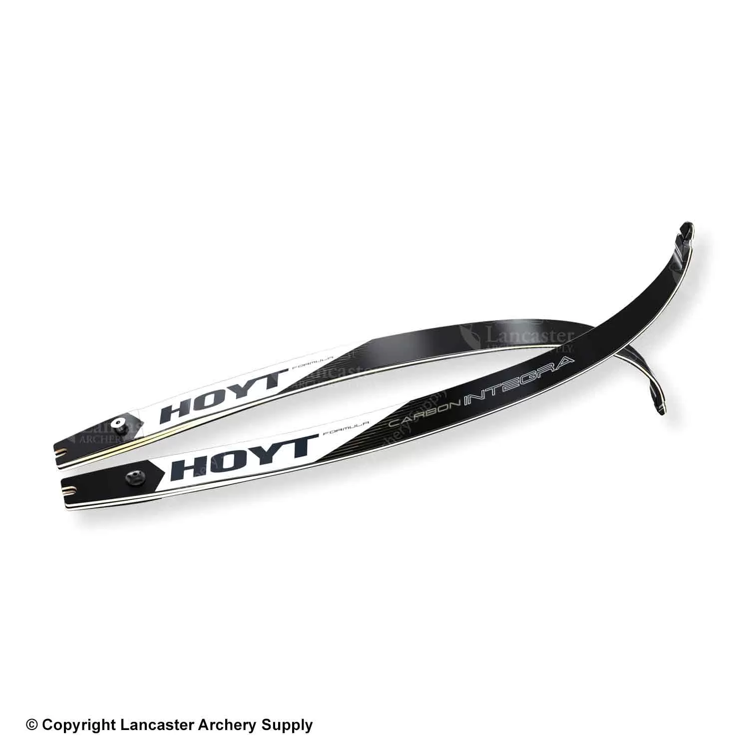 Hoyt Carbon Integra Formula Target Recurve Limb (Matte Finish)