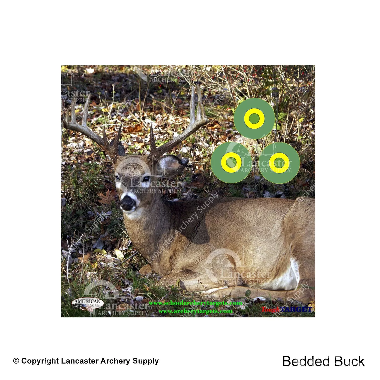 American Whitetail Tough Target Face (18"x18") - Image 2