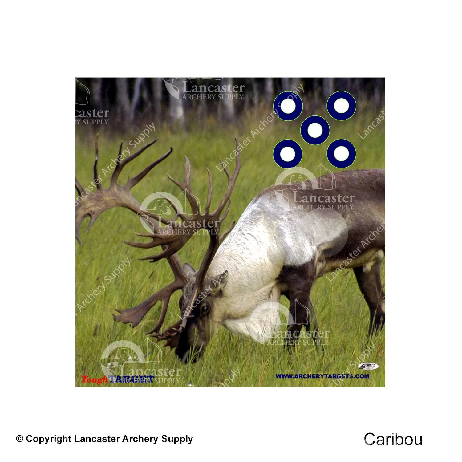 American Whitetail Tough Target Face (18"x18") - Image 5