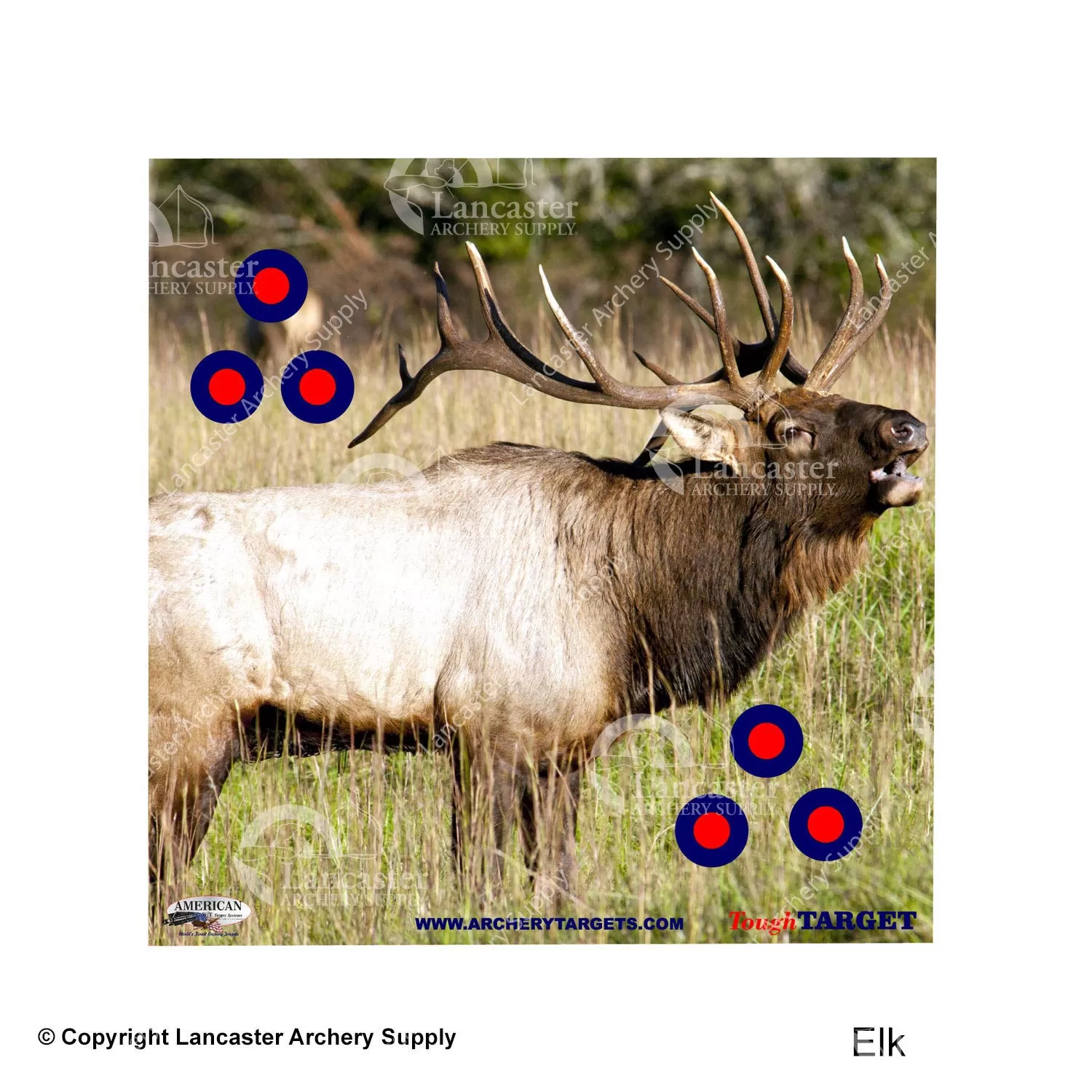 American Whitetail Tough Target Face (18"x18") - Image 4