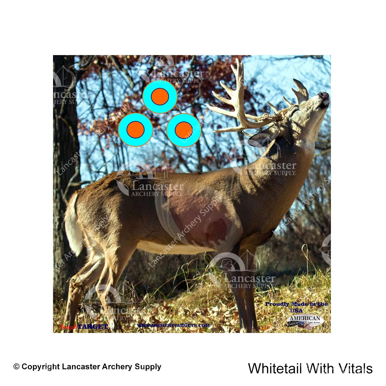 American Whitetail Tough Target Face (18"x18") - Image 7