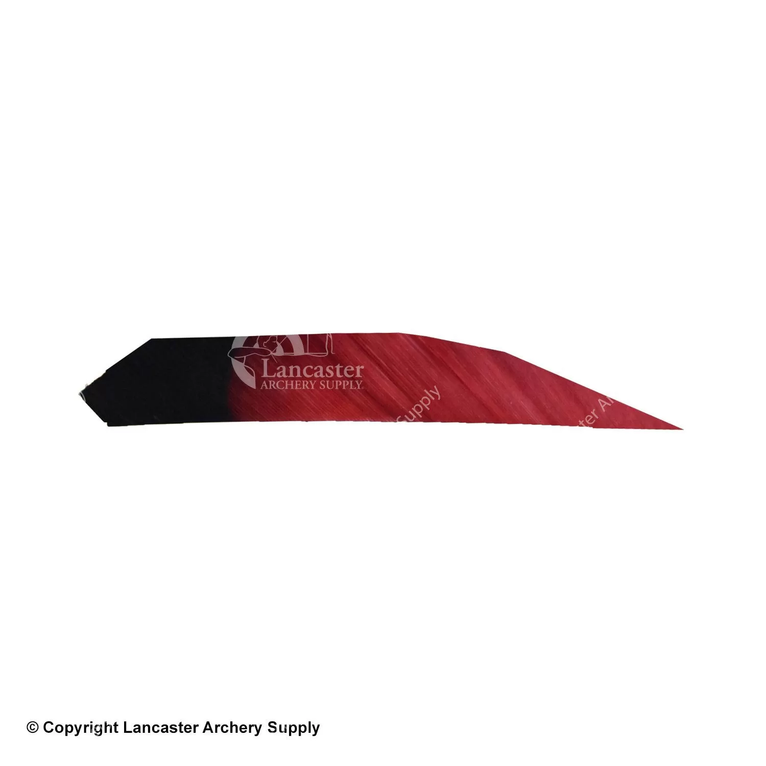 Ozark Eagle Tips 4.5" Target Maxx Feather - Image 2