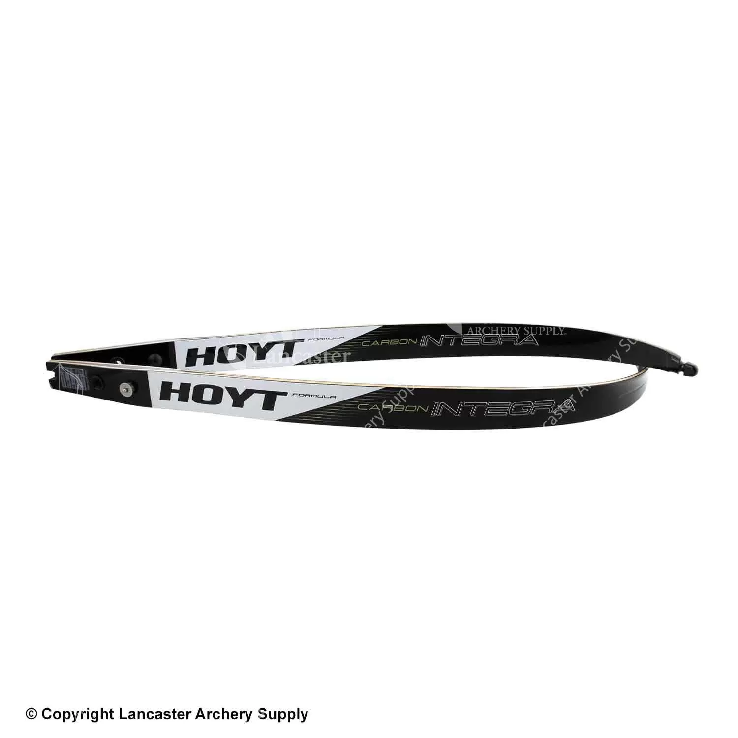 Hoyt Carbon Integra Formula Target Recurve Limb (Open Box X1030160)