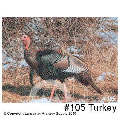 Delta McKenzie Tru-Life Small Animal Target Face