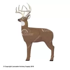 GlenDel Pre-Rut 3-D Deer Target