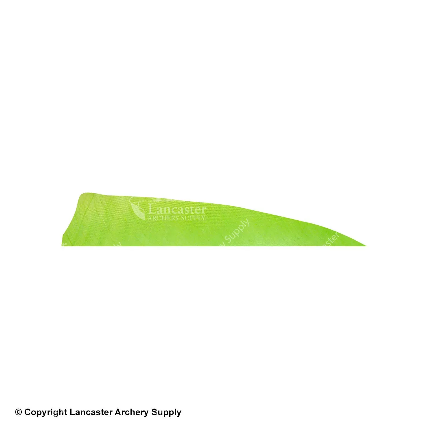 Gateway 5" Shield Feather - Image 4