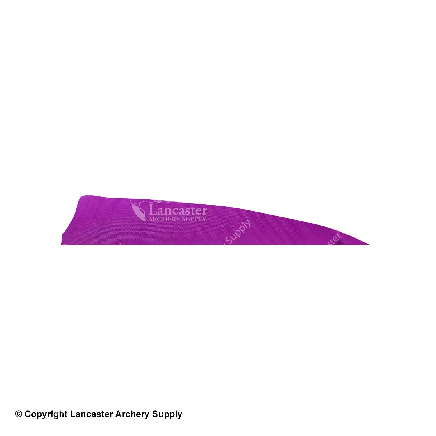 Gateway 5" Shield Feather - Image 16