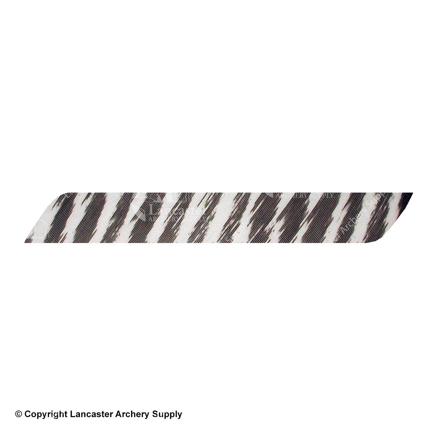 Gateway 8-12" Full Length Barred Feather