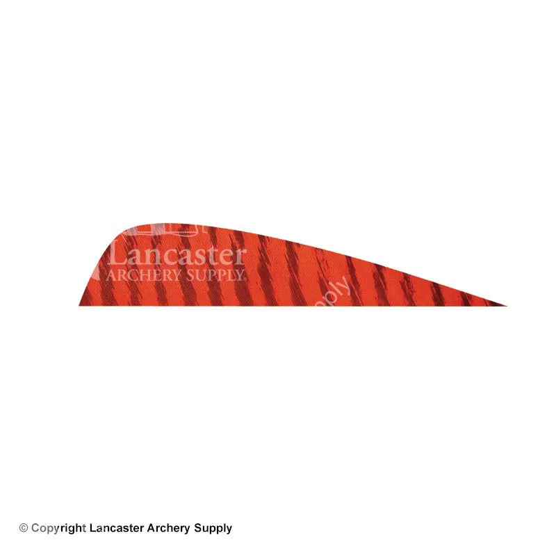 Gateway 4" Parabolic Barred Feather - Image 2