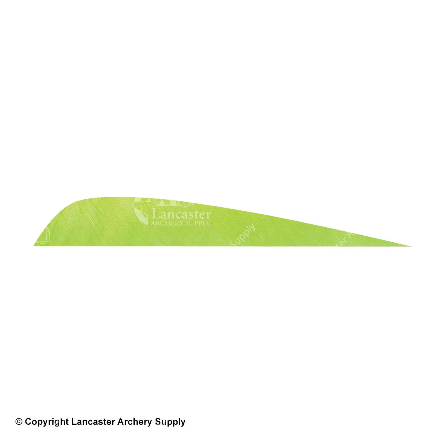 Gateway 4" Parabolic Feather - Image 4