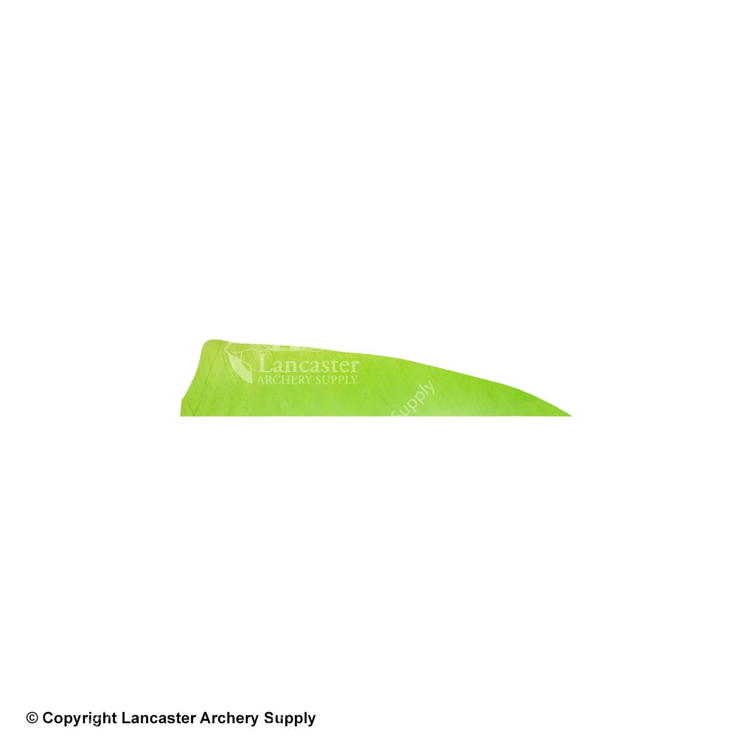 Gateway 3" Shield Feather - Image 4