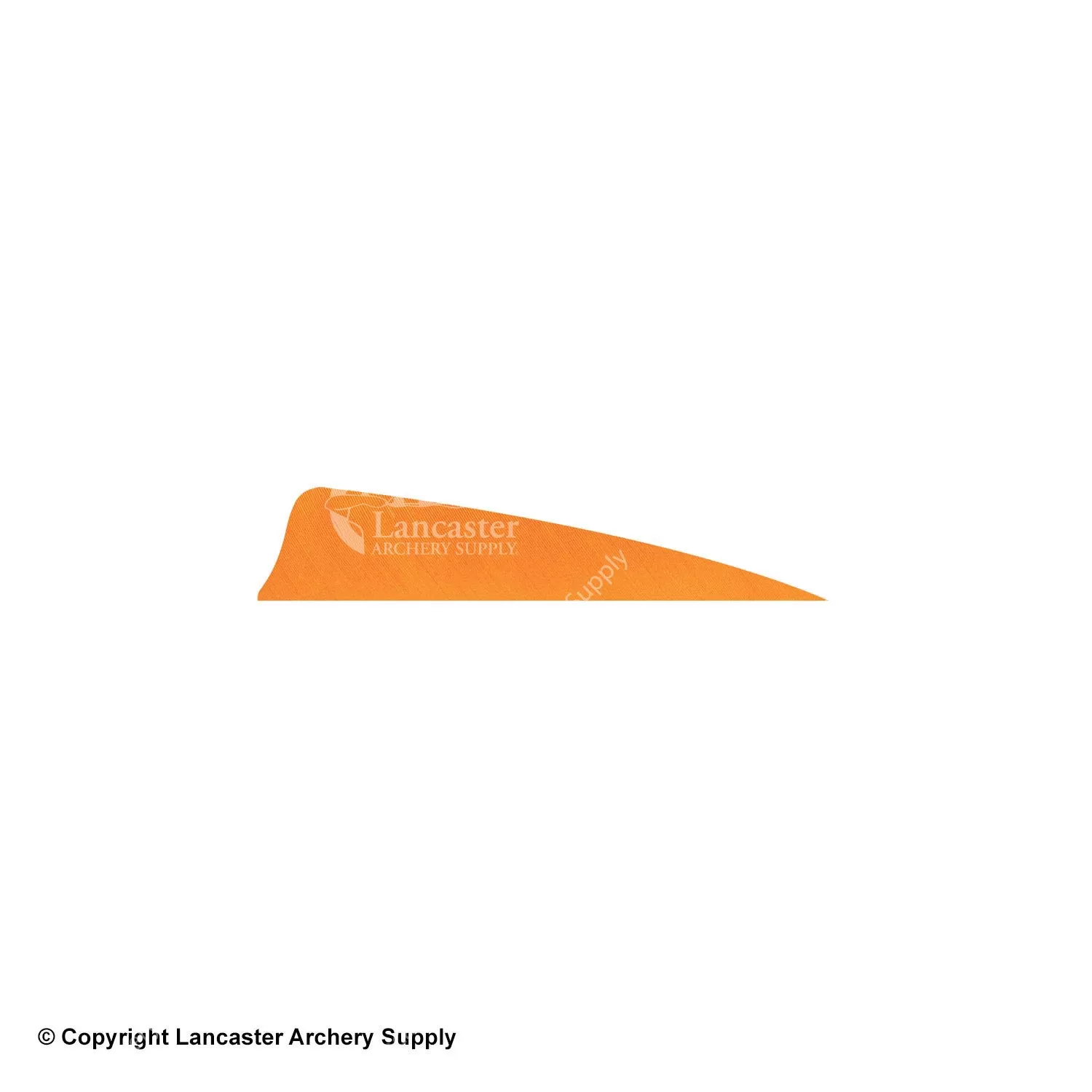 Gateway 3" Shield Feather - Image 8