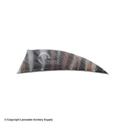 Gateway 2" Rayzr Printz Feather