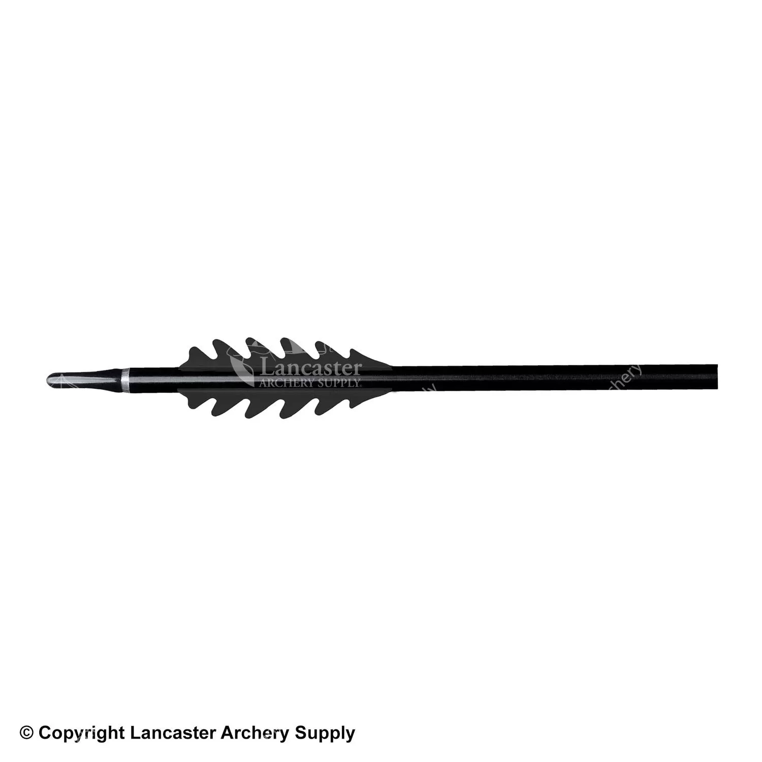 BJORN DragonFlight Vanes (2-3/4") - Image 6