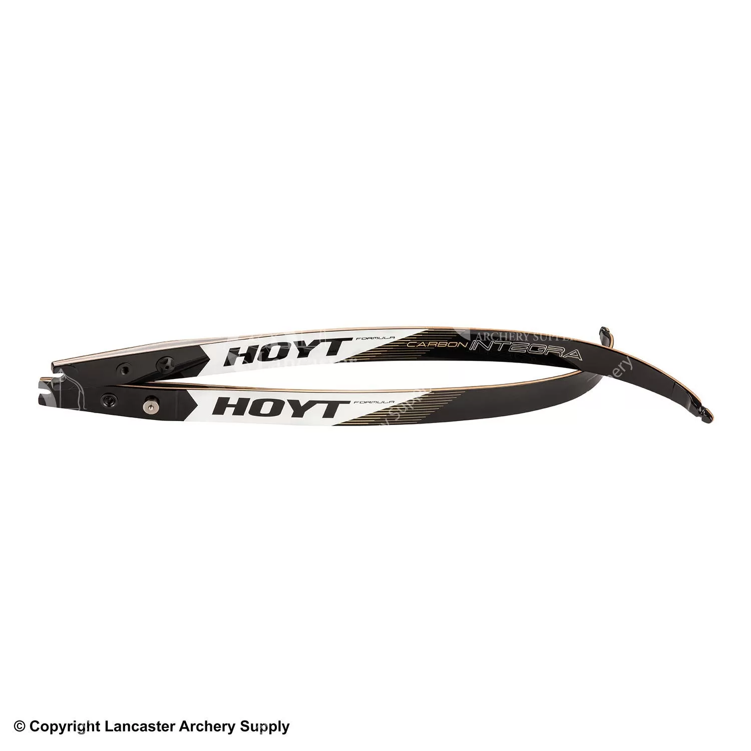 Hoyt Formula Carbon Integra Recurve Limbs