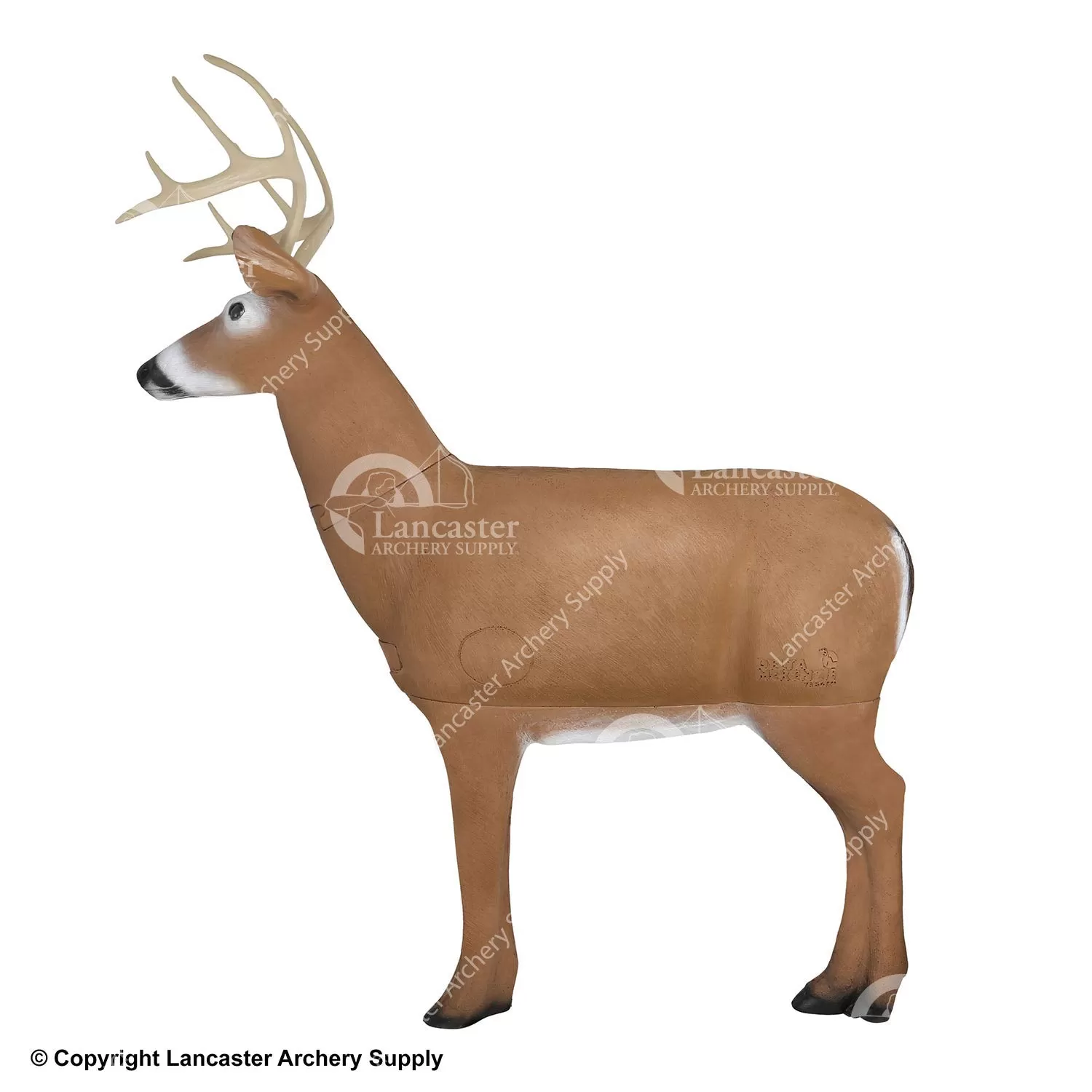 Delta McKenzie Big Daddy Buck 3D Archery Target - Image 2