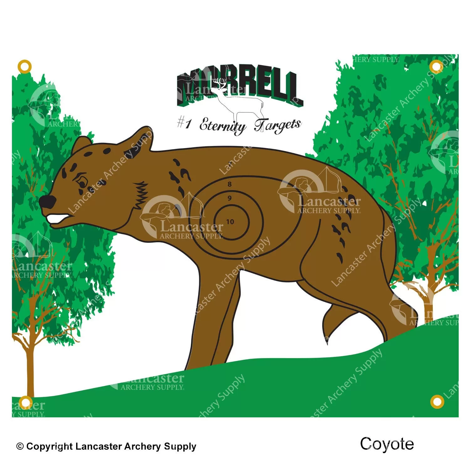 Morrell NASP/IBO Polypropylene Target Faces - Image 3