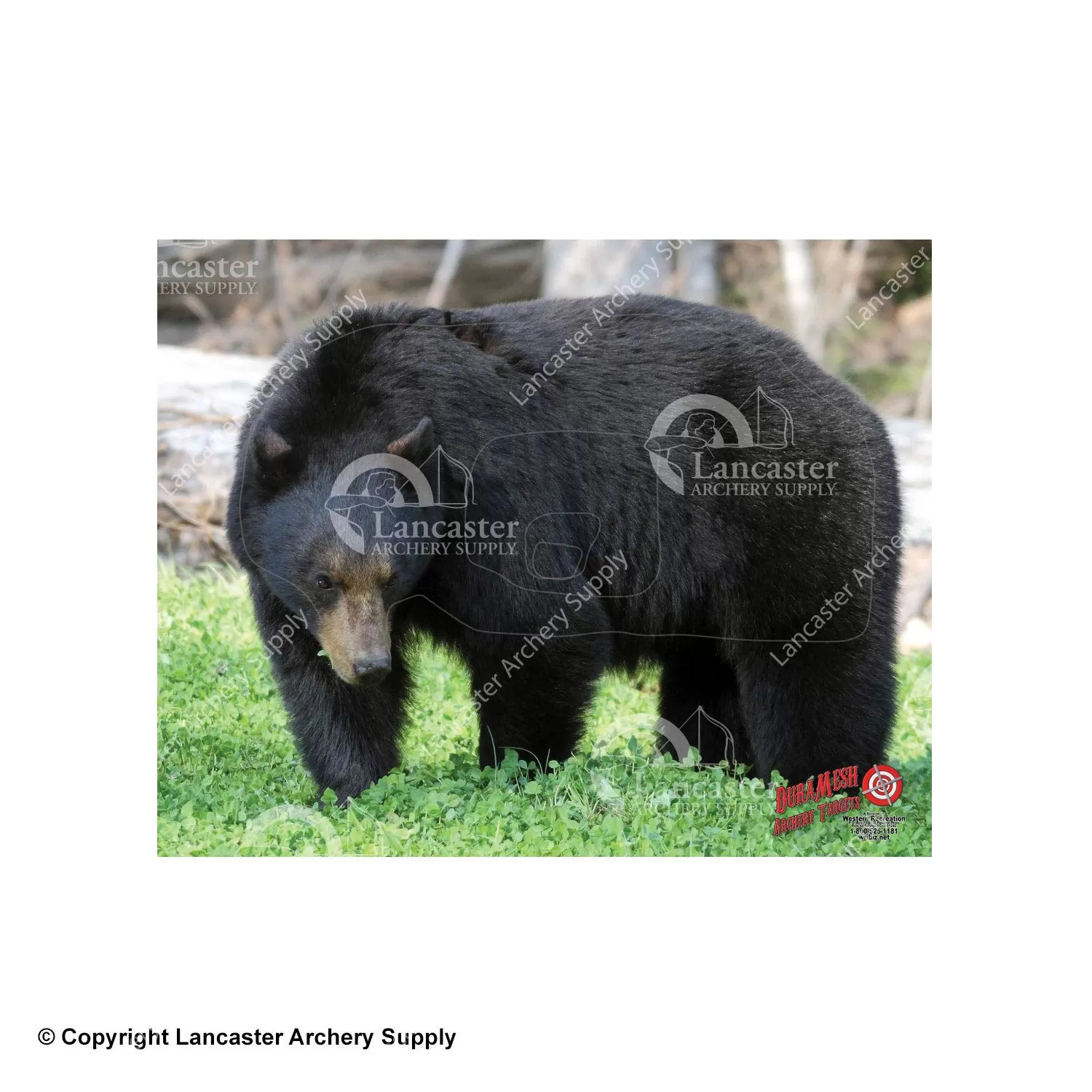 DuraMesh X-Large Big Game Archery Targets - Image 2