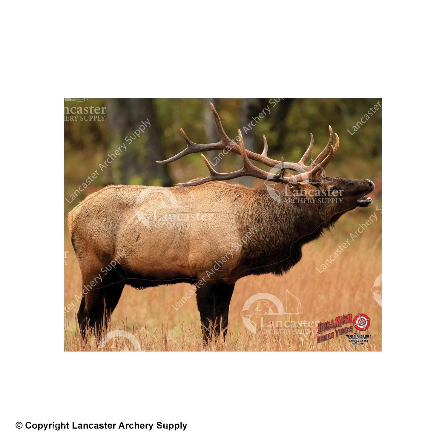 DuraMesh X-Large Big Game Archery Targets - Image 3