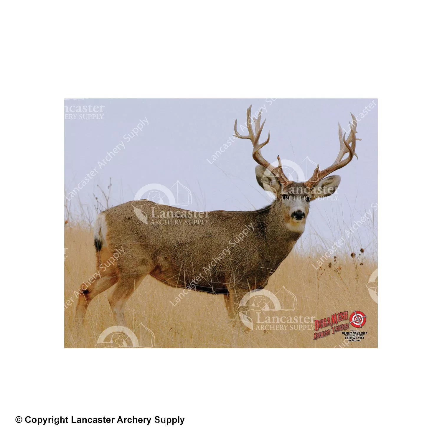 DuraMesh X-Large Big Game Archery Targets - Image 4