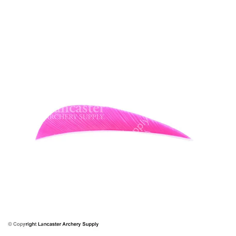 Trueflight 3" RW Round Back Feather - Image 2