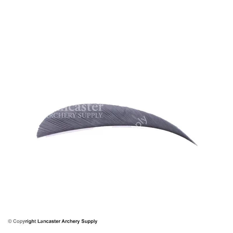 Trueflight 3" RW Round Back Feather - Image 12