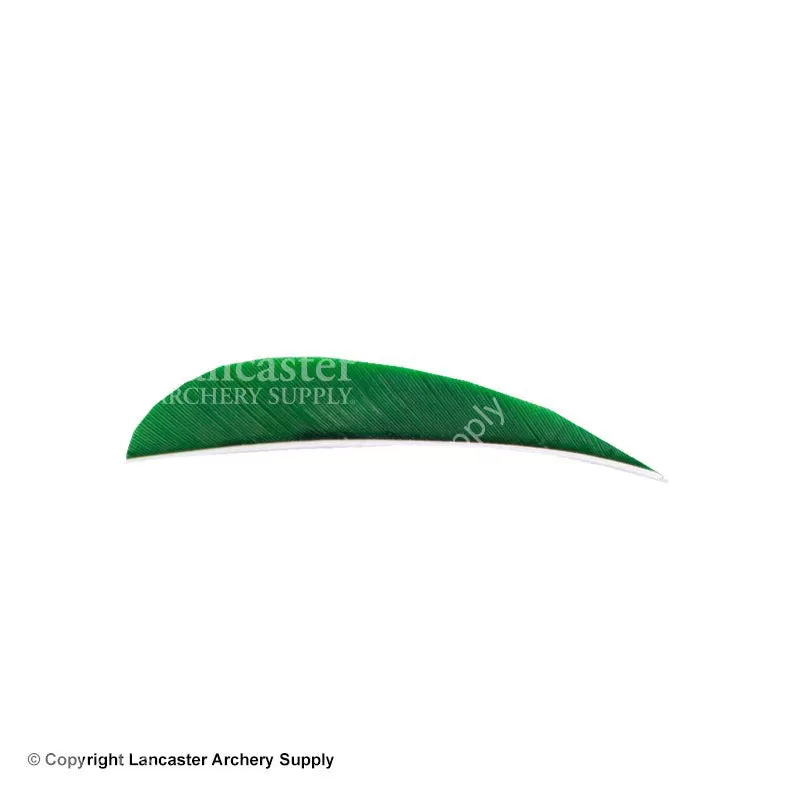 Trueflight 3" RW Round Back Feather - Image 7