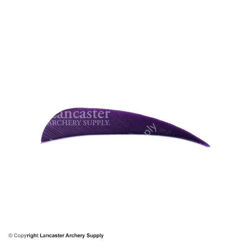 Trueflight 3" RW Round Back Feather - Image 13