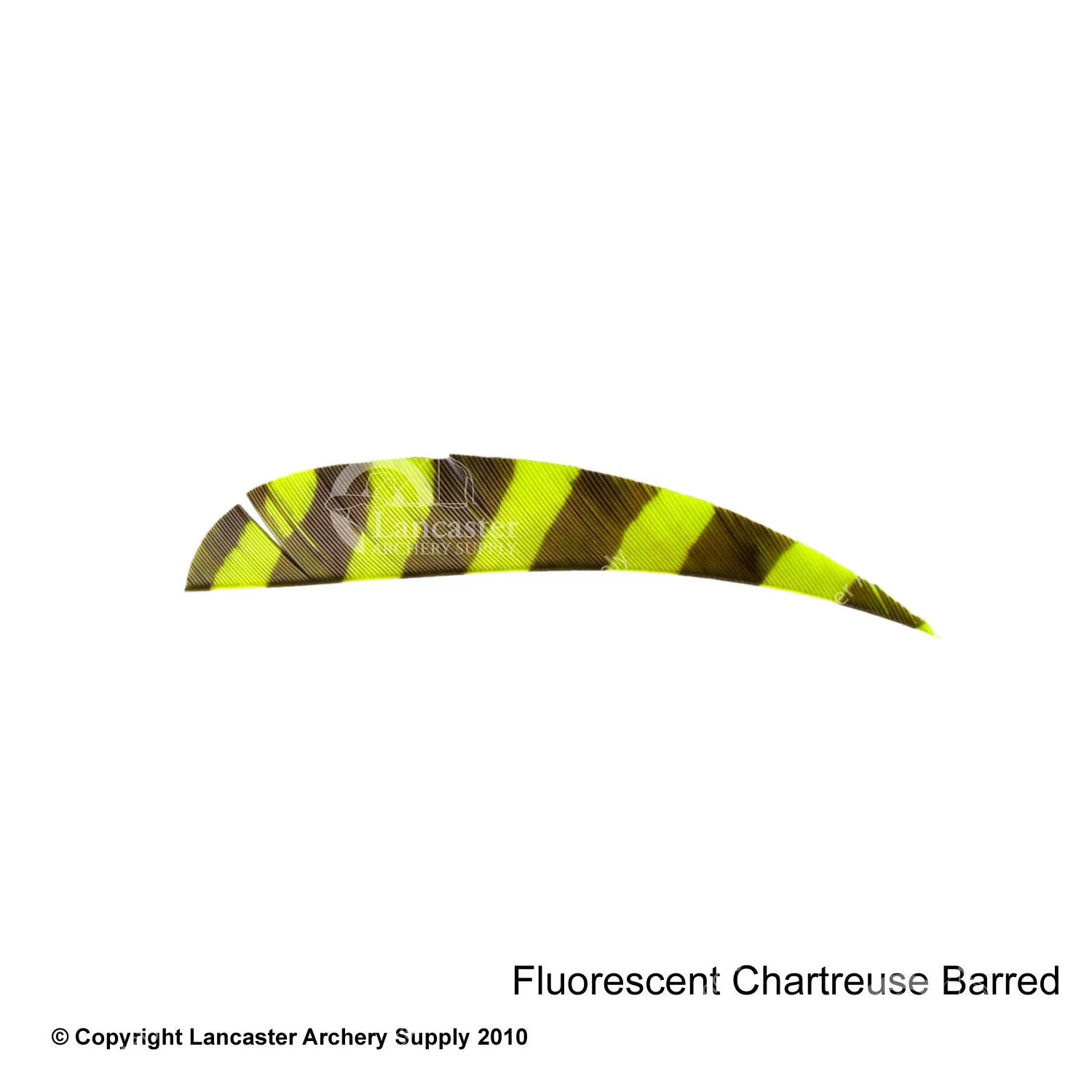 Trueflight Barred 4" RW Round Back Feather - Image 3
