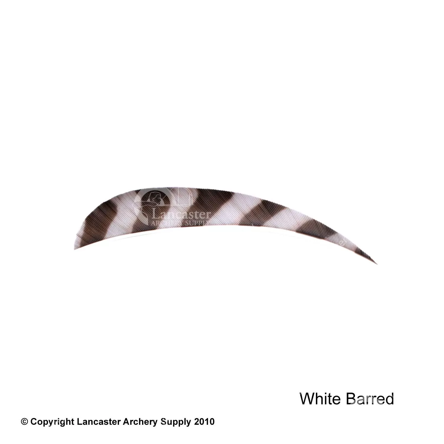 Trueflight Barred 4" RW Round Back Feather - Image 2