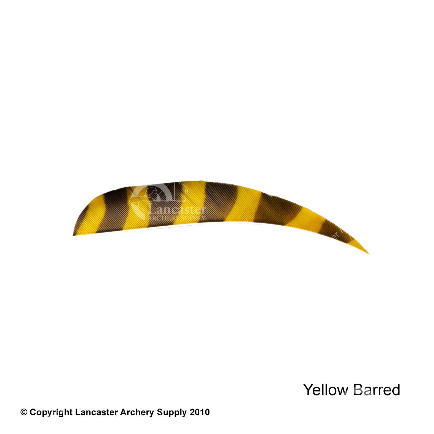 Trueflight Barred 4" RW Round Back Feather - Image 5