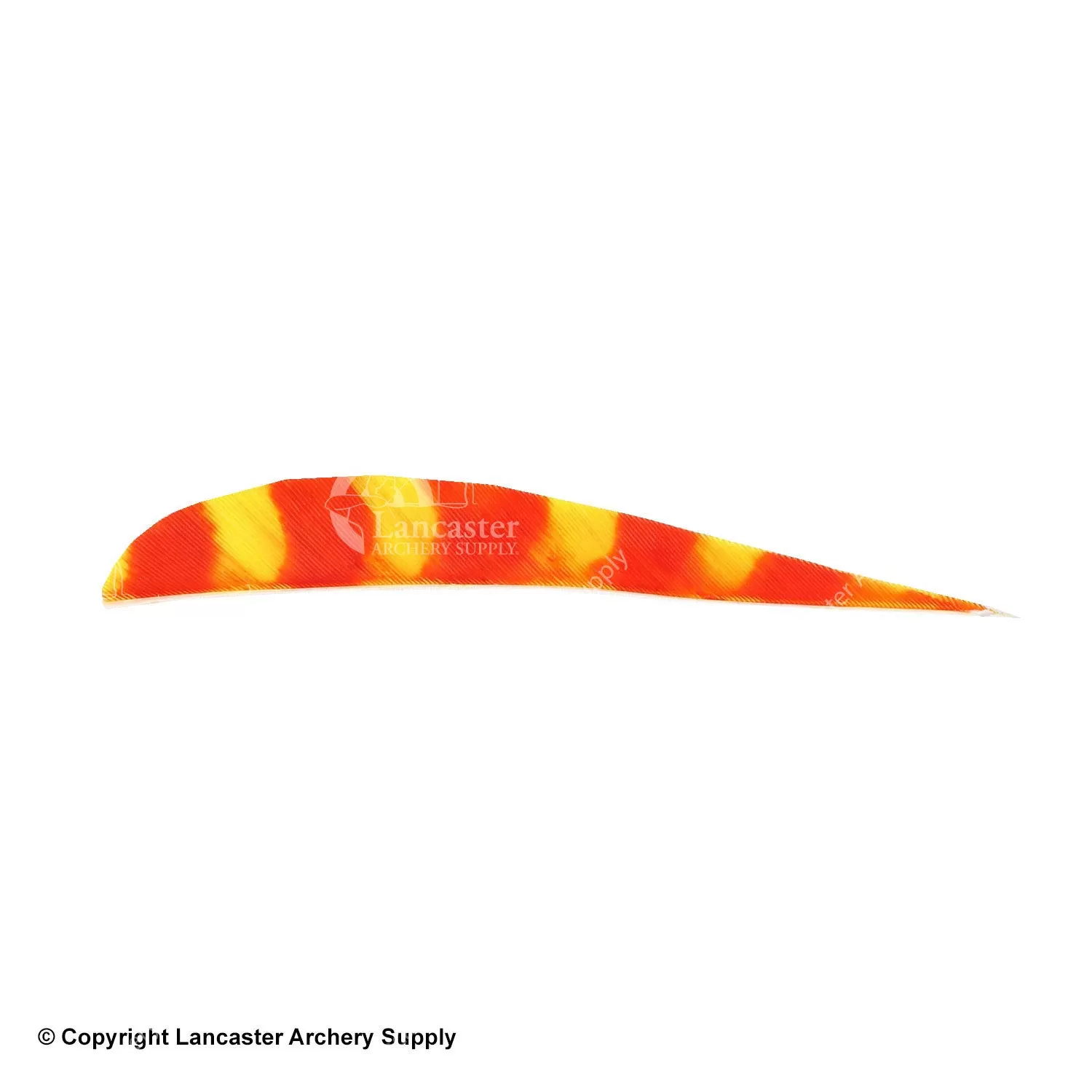 Trueflight Brite Stripes 4" RW Round Back Feather - Image 5