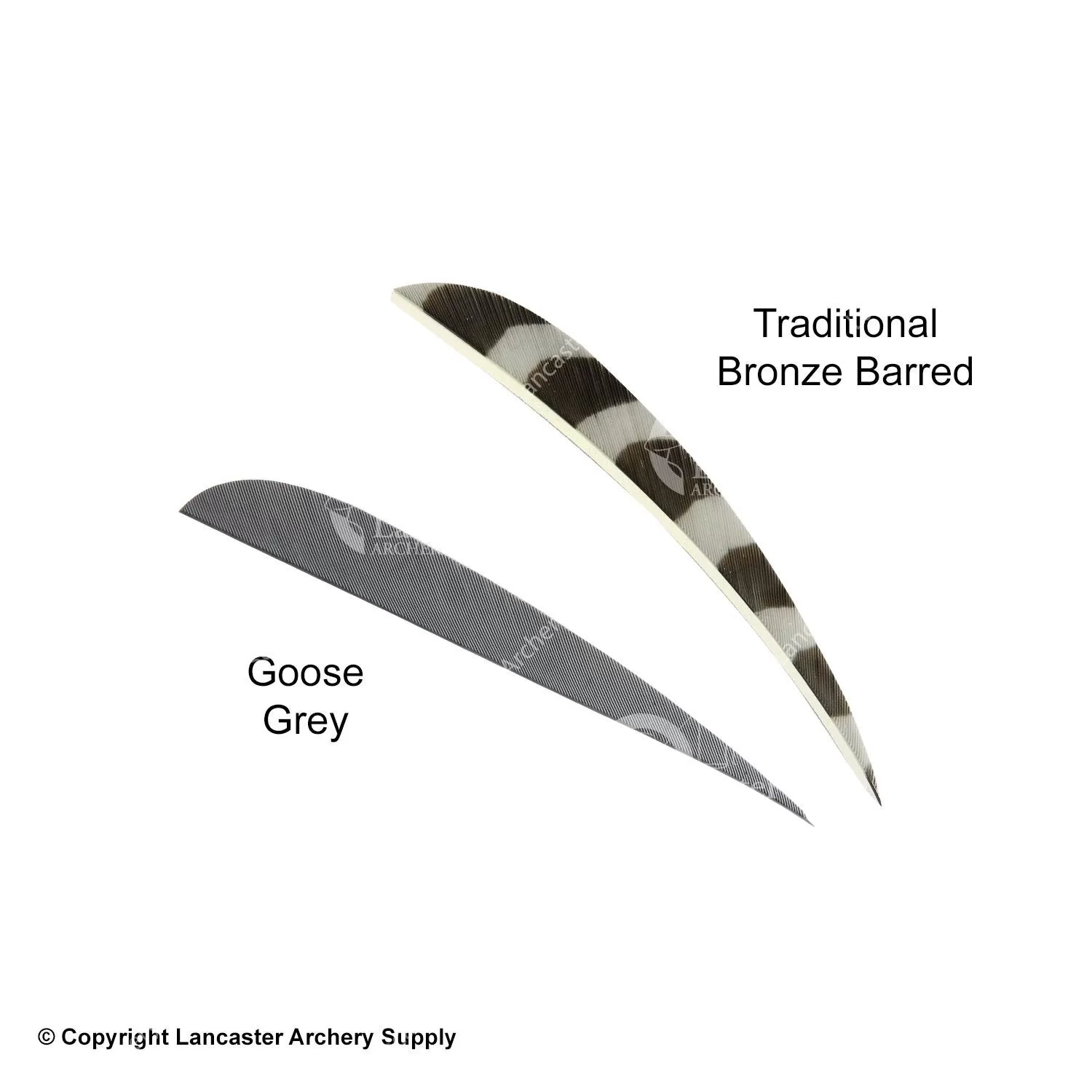 Trueflight 5" Round Back Feathers (18 Count Combo Pack) - Image 10