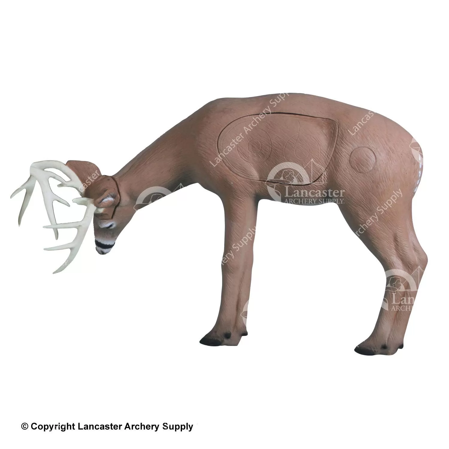 Rinehart Fighting / Rubbing Buck Target