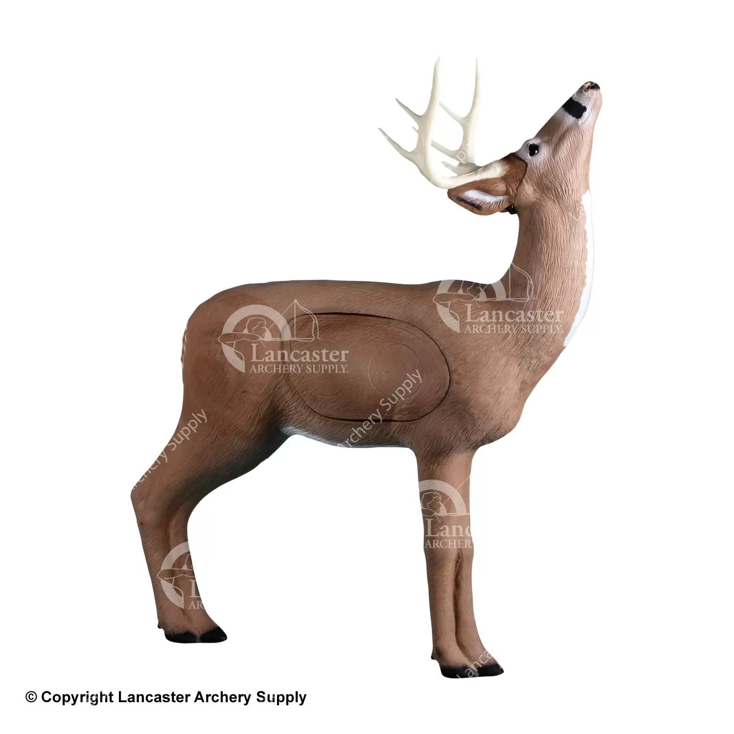 Rinehart Browsing Buck Target