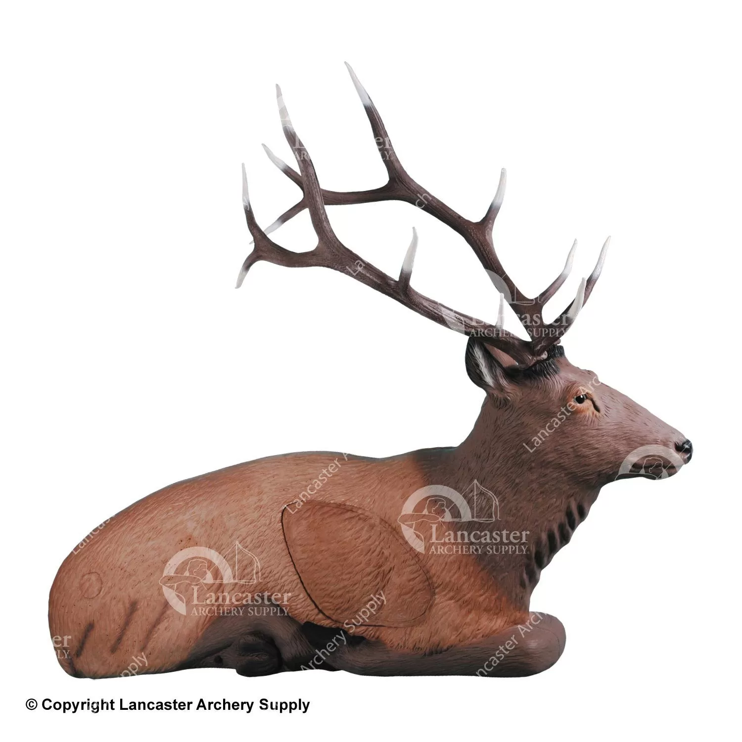 Rinehart Bedded Elk Target