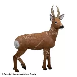 Rinehart Roe Deer 3D Target