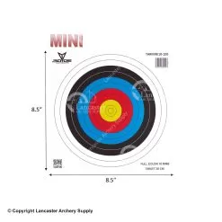 30-06 Mini Archery Target Sets (10-Ring - 100ct.)