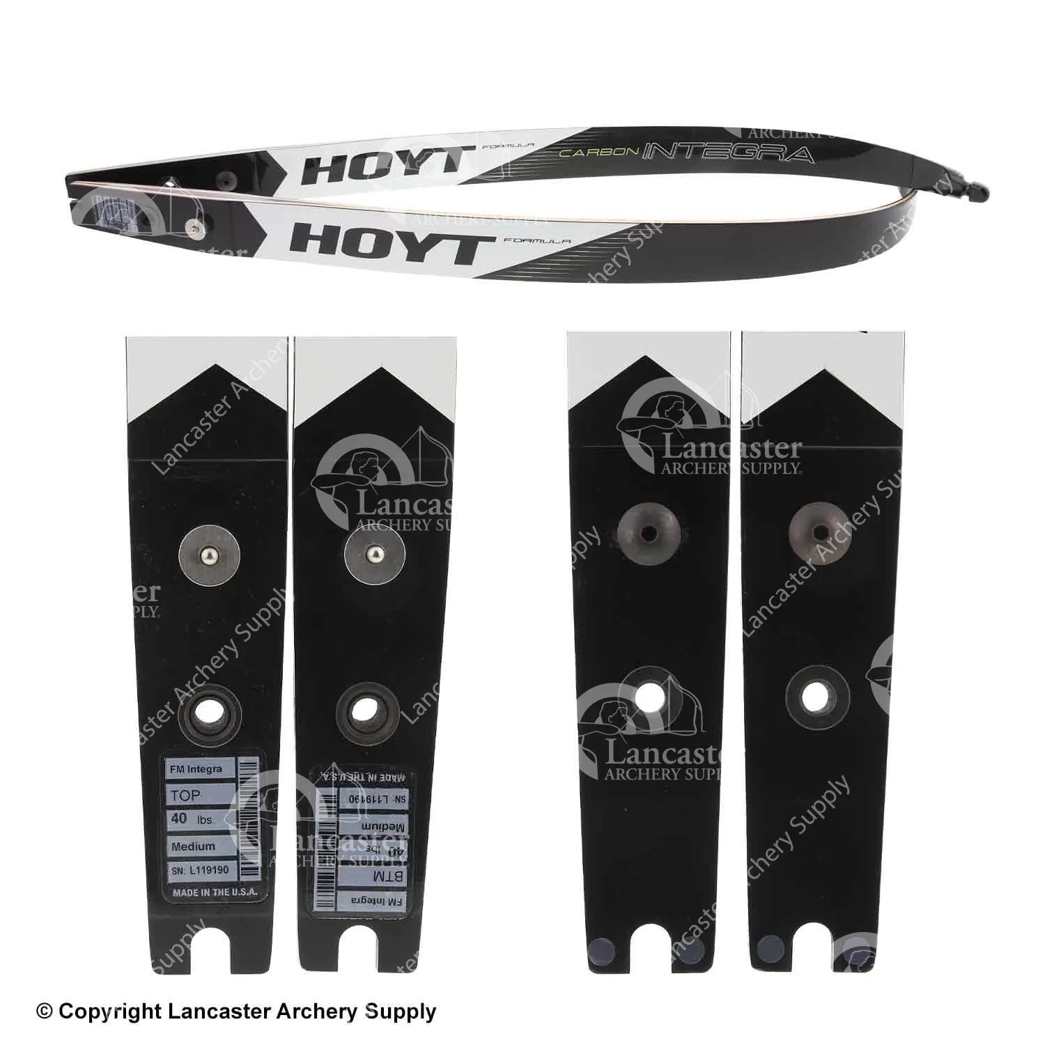 Hoyt Carbon Integra Formula Target Recurve Limb (Open Box X1030128) - Image 2