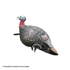 Avian-X LCD Jake Quarter Strut Turkey Decoy