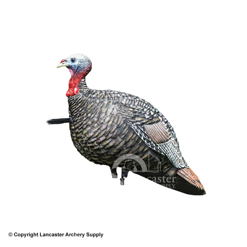 Avian-X LCD Jake Quarter Strut Turkey Decoy
