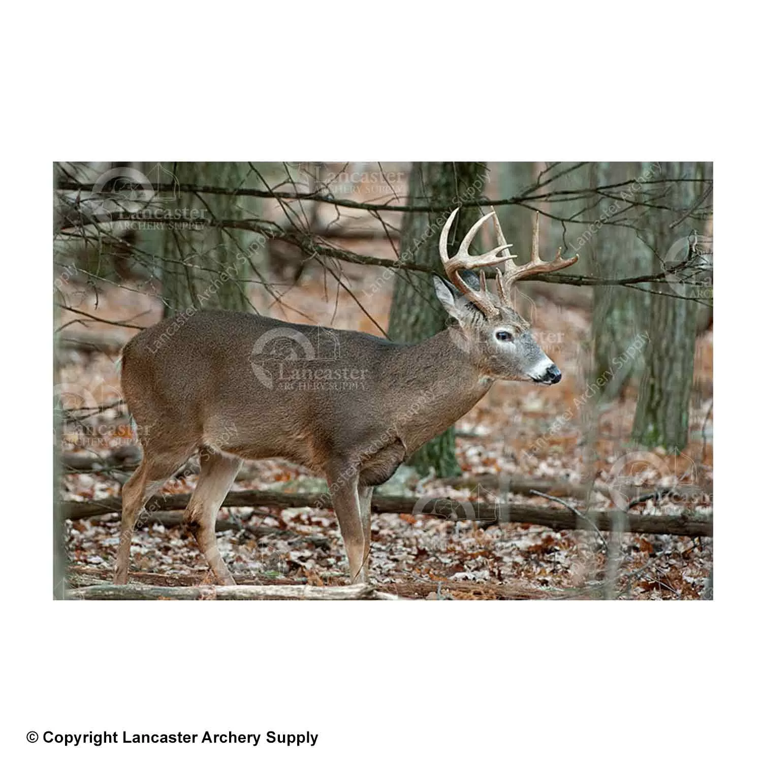 NiceTargets Deer Targets - Image 3