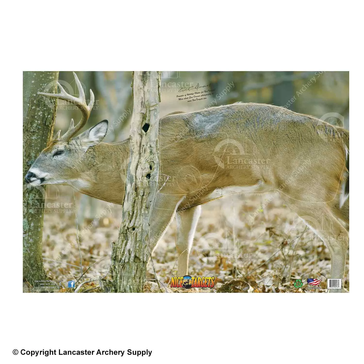 NiceTargets Deer Targets - Image 7