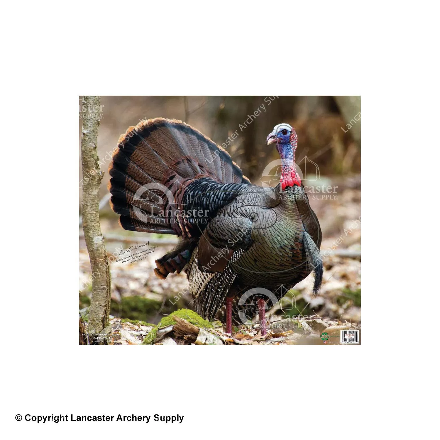 NiceTargets Turkey Target